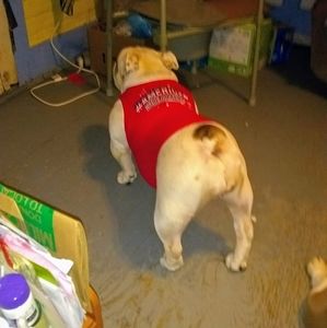 Meet your Posher, Deborah